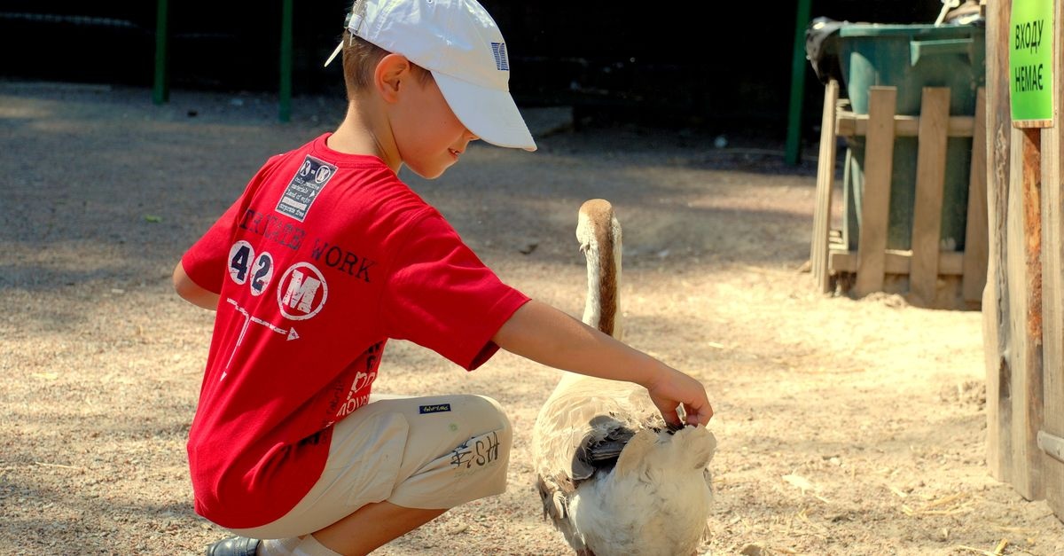 Zoo z dzieckiem — dlaczego warto? Szczere opinie rodziców i pomysły na naukę przez zabawę