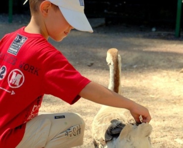 Zoo z dzieckiem — dlaczego warto? Szczere opinie rodziców i pomysły na naukę przez zabawę